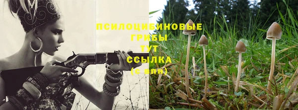 эйфоретик Новозыбков