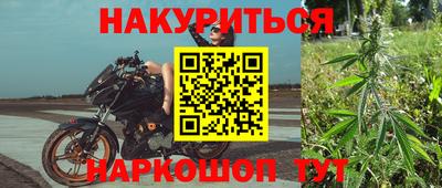 СК Кингисепп