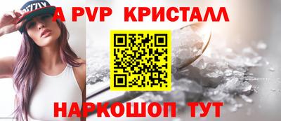СК Кингисепп