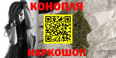 СК Кингисепп