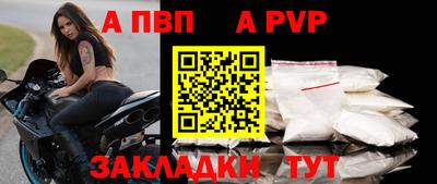 СК Кингисепп