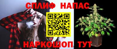 СК Кингисепп
