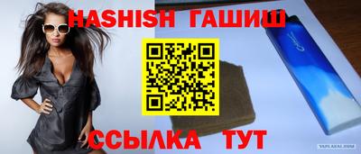 СК Кингисепп