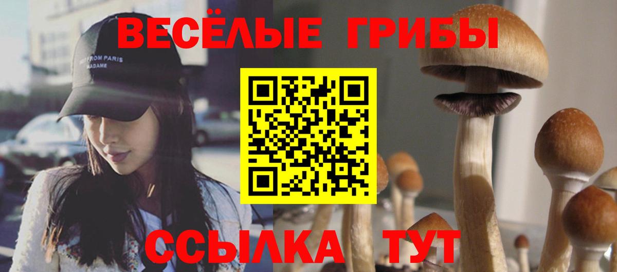 Cocaine  Марихуана  Меф   Мефедрон кристаллы  A PVP СК   MDMA  ГАШИШ  КОКАИН  Отрадное  ГАШИШ 